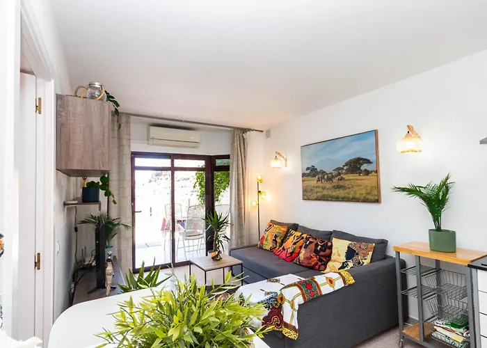 Sabi Star Puerto Rico *